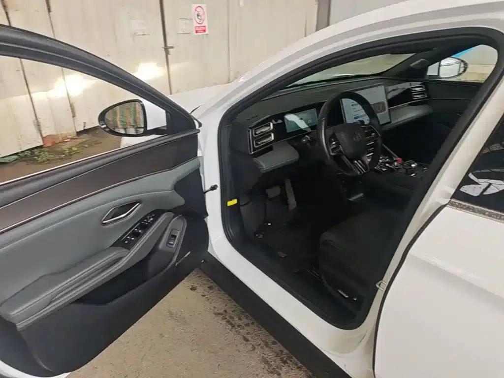 Qin L 2024 DM-i 120KM Excellent Edition — миниатюра 16