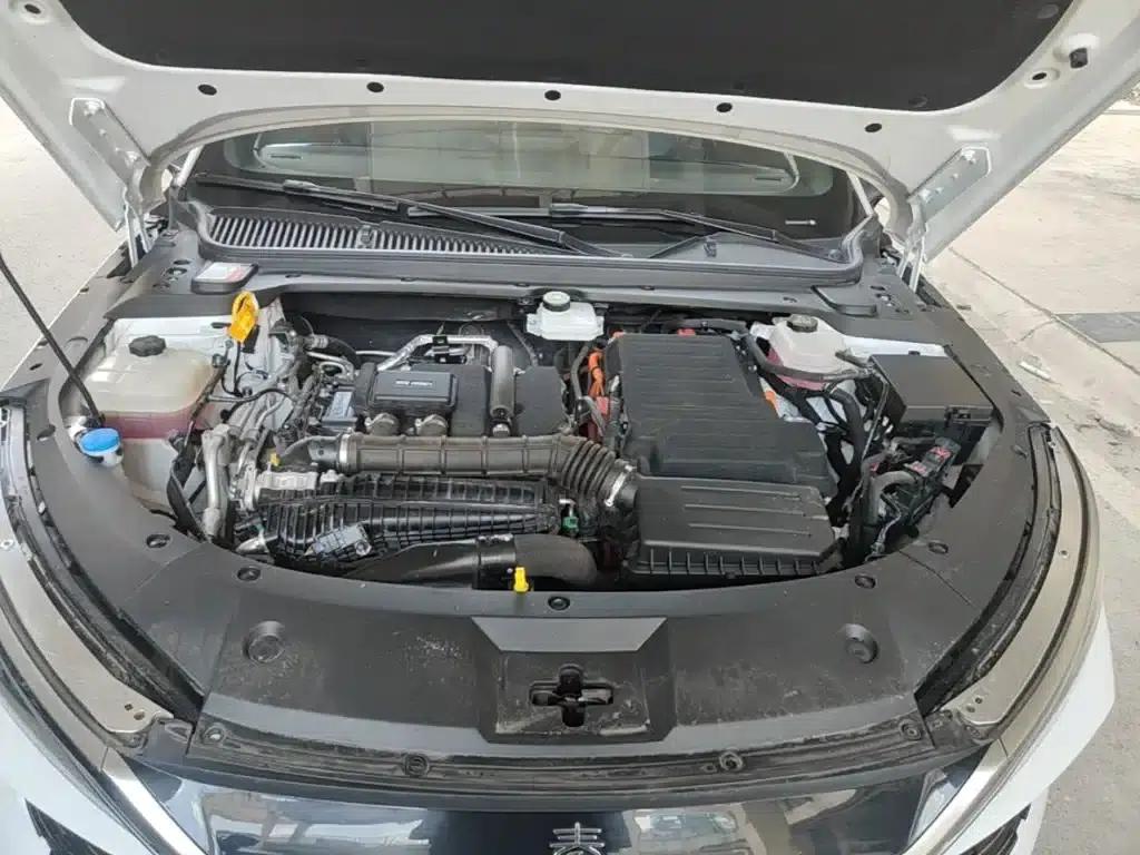 Qin L 2024 DM-i 80KM Leading Edition — миниатюра 20
