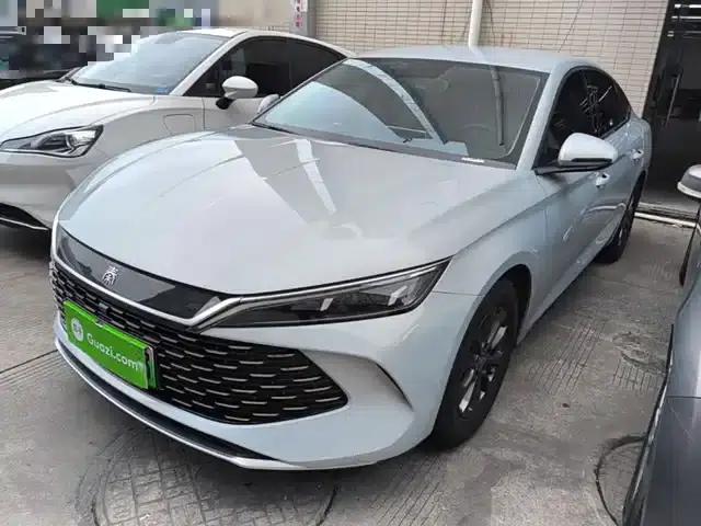 Qin L 2024 DM-i 80KM Leading Edition