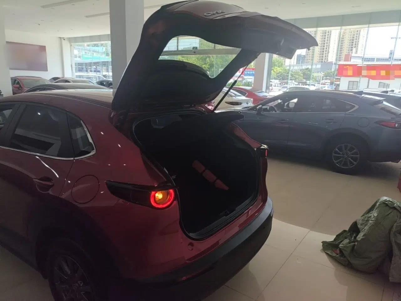 Mazda CX-30 2020 2.0L Automatic Zhiyue Trim — миниатюра 22