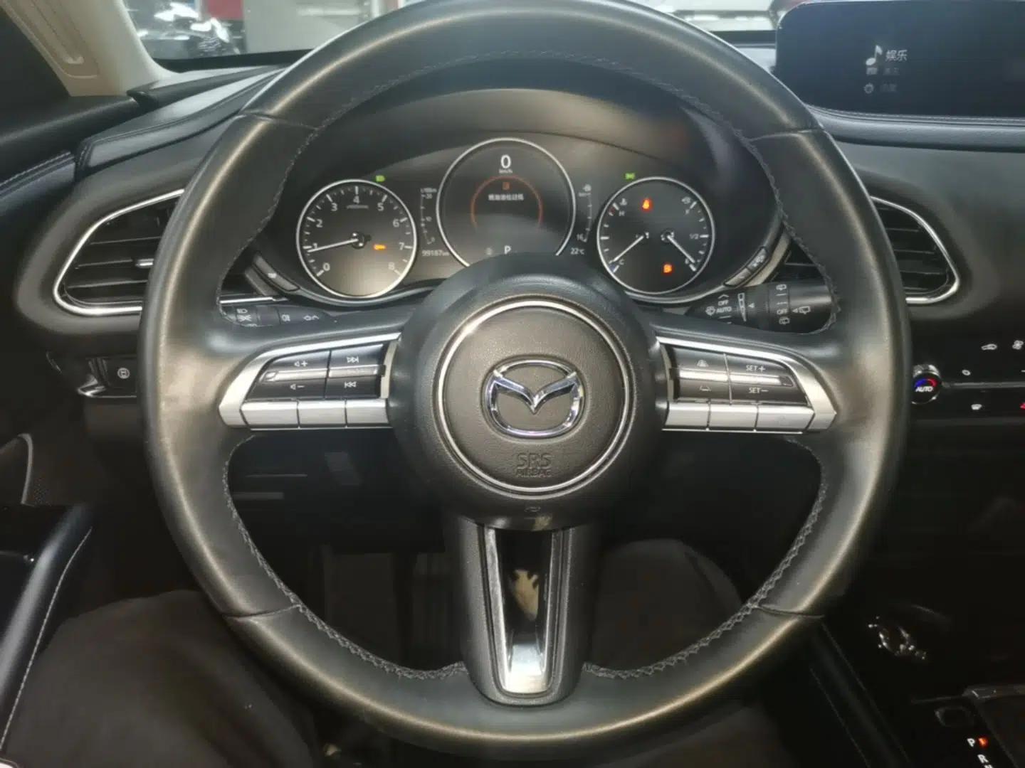 Mazda CX-30 2020 2.0L Automatic Yaoyue Model — миниатюра 13