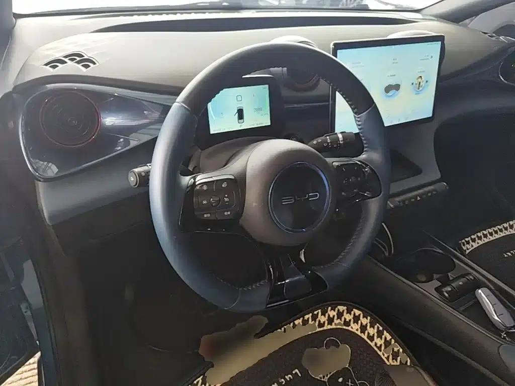 Dolphin 2023 420km Fashion Edition — миниатюра 11