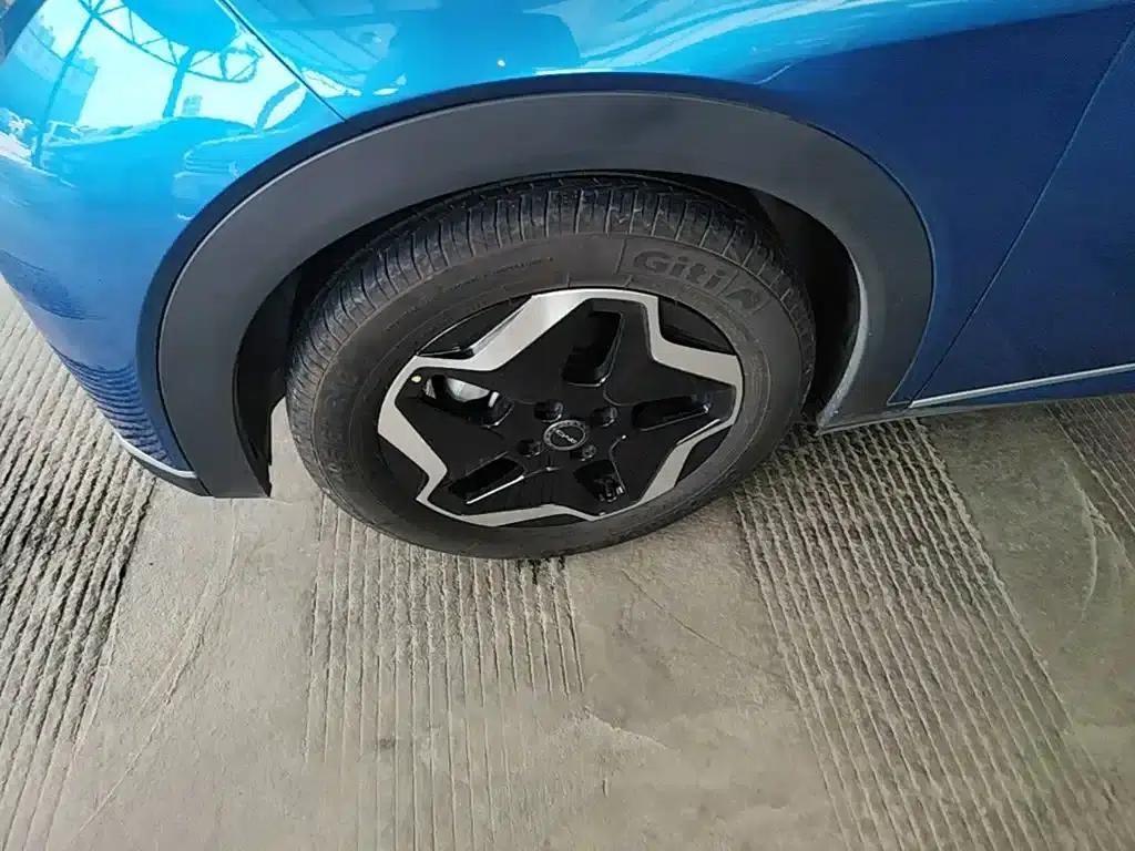 Dolphin 2023 420km Fashion Edition — миниатюра 23