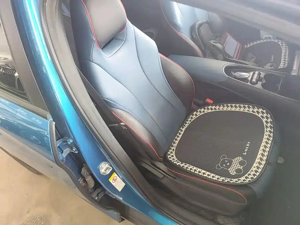 Dolphin 2023 420km Fashion Edition — миниатюра 25