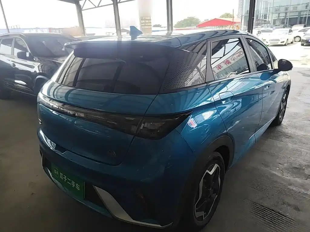 Dolphin 2023 420km Fashion Edition — миниатюра 7