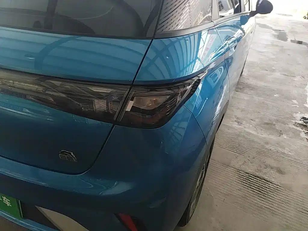 Dolphin 2023 420km Fashion Edition — миниатюра 8