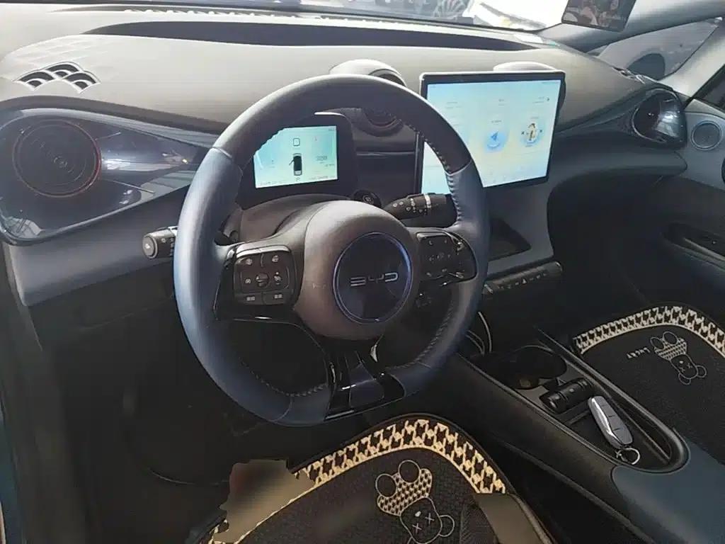 Dolphin 2023 420km Fashion Edition — миниатюра 10