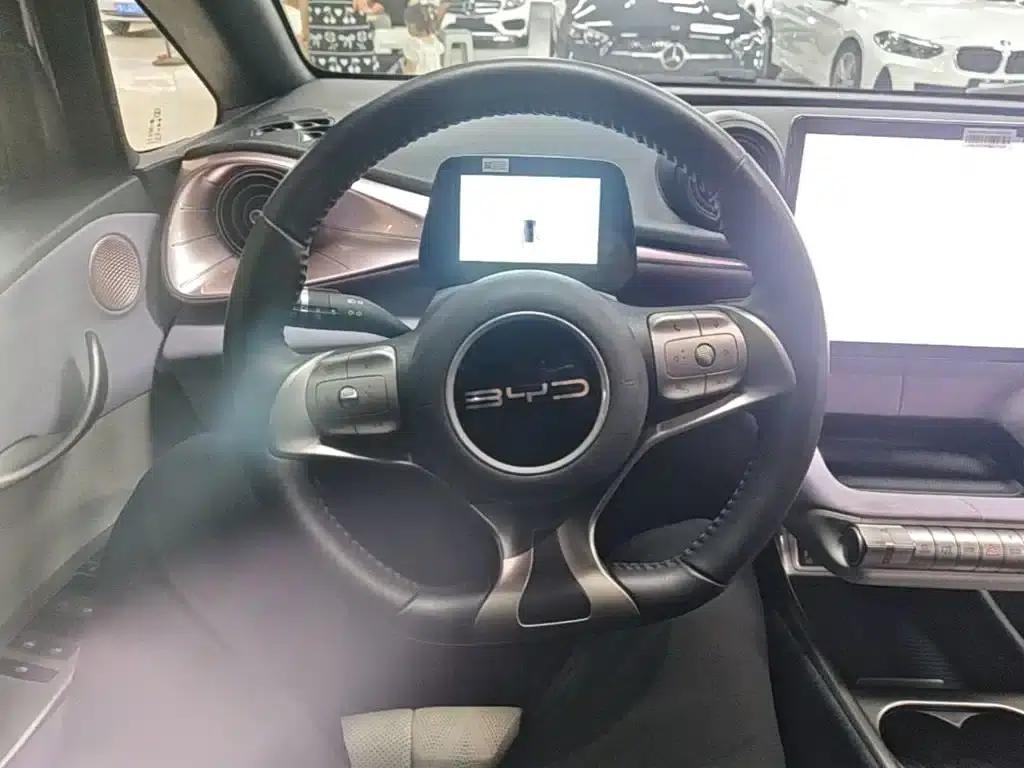 Dolphin 2023 420km Freedom Edition — миниатюра 11