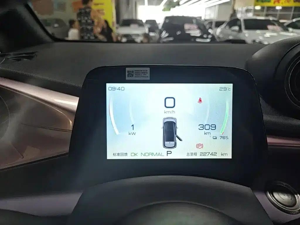 Dolphin 2023 420km Freedom Edition — миниатюра 12