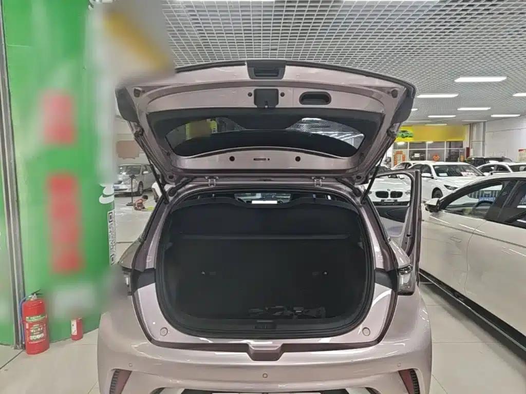 Dolphin 2023 420km Freedom Edition — миниатюра 19
