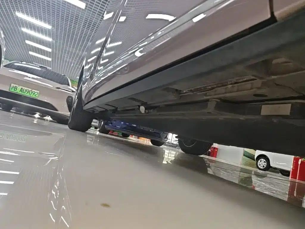 Dolphin 2023 420km Freedom Edition — миниатюра 21