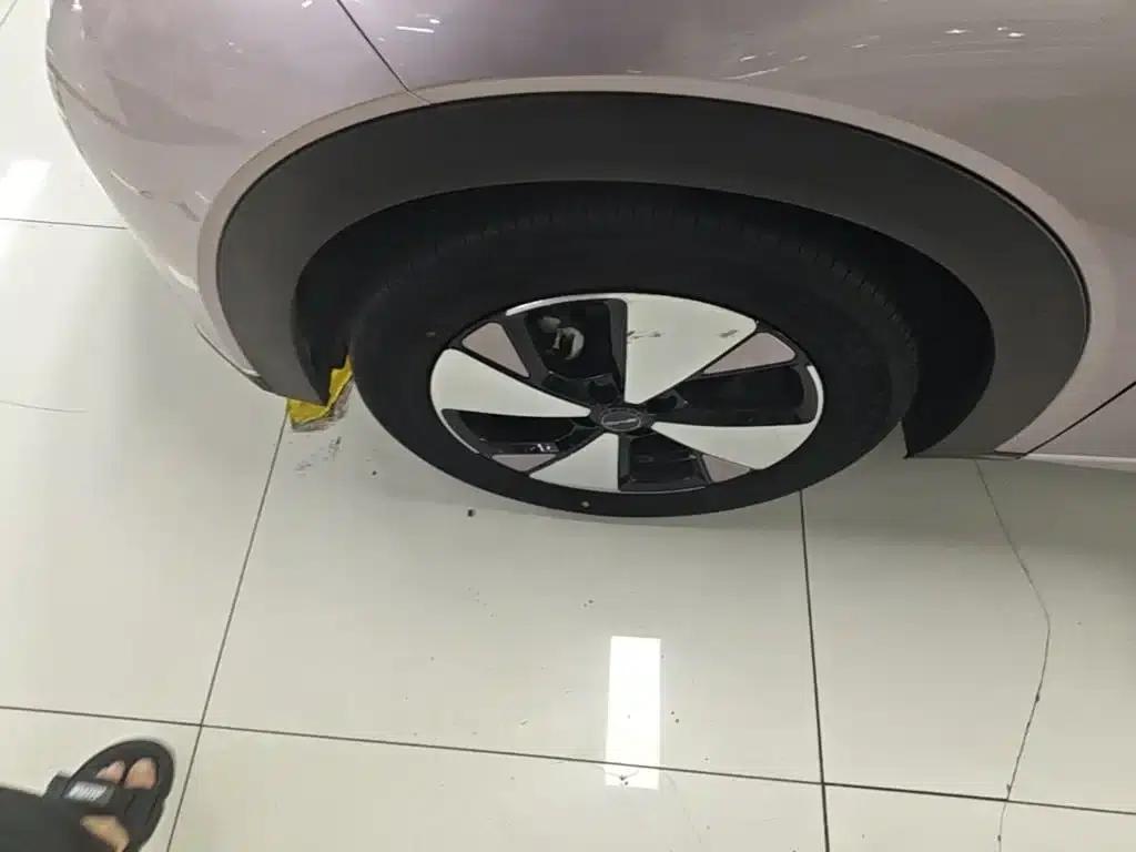 Dolphin 2023 420km Freedom Edition — миниатюра 23