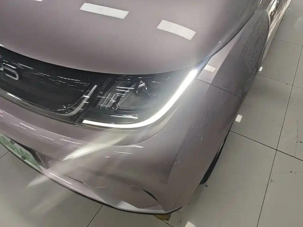 Dolphin 2023 420km Freedom Edition — миниатюра 24