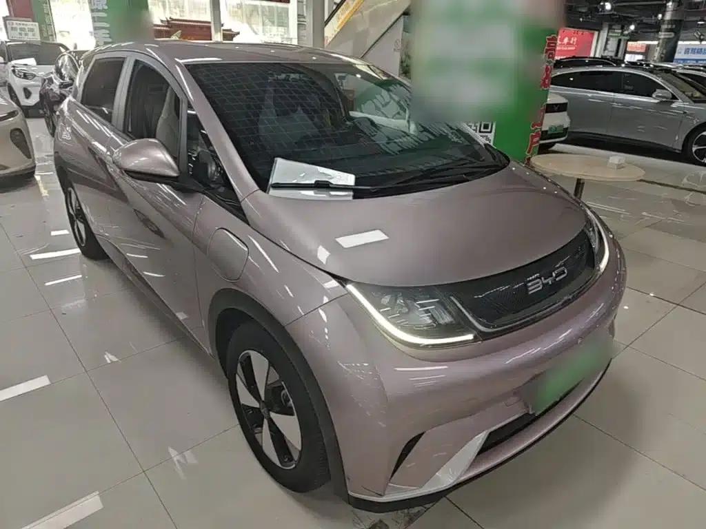 Dolphin 2023 420km Freedom Edition — миниатюра 4