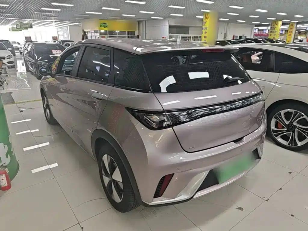 Dolphin 2023 420km Freedom Edition — миниатюра 5