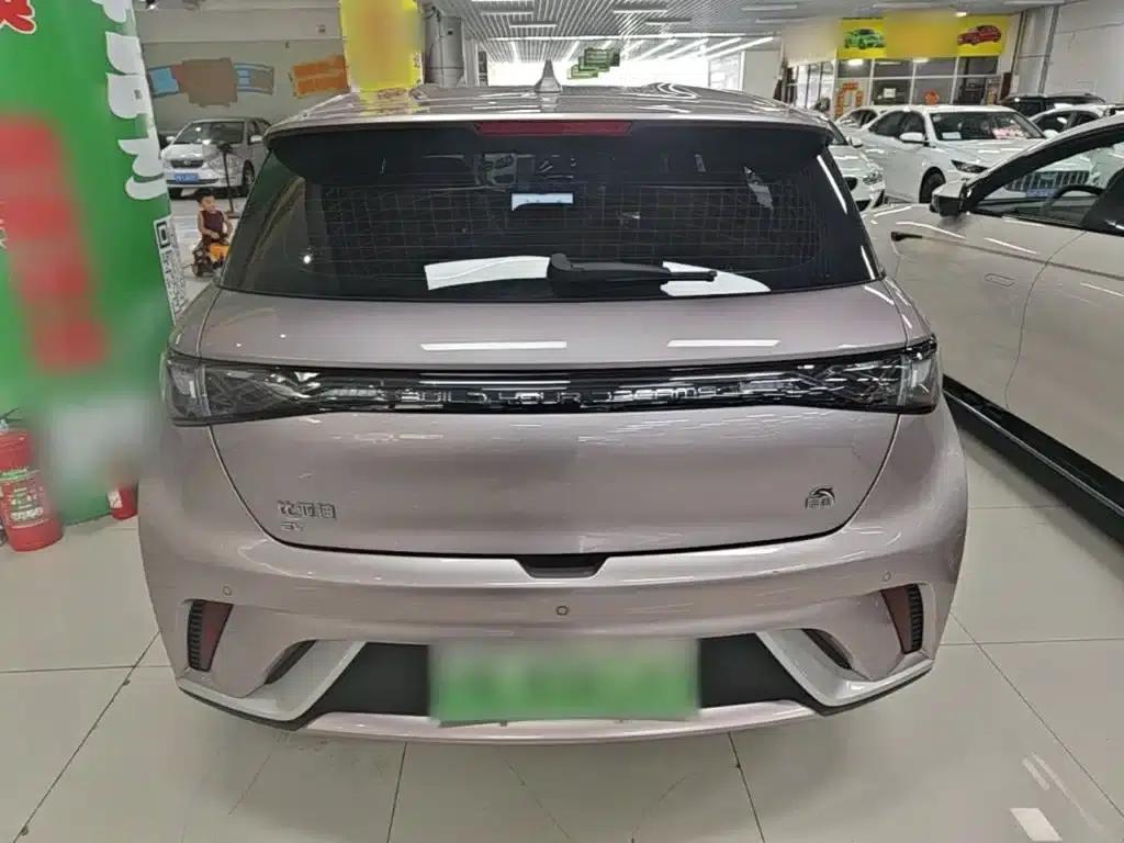 Dolphin 2023 420km Freedom Edition — миниатюра 6