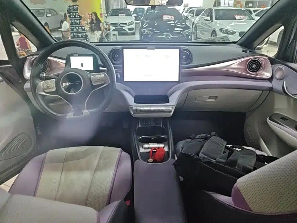 Dolphin 2023 420km Freedom Edition — миниатюра 10