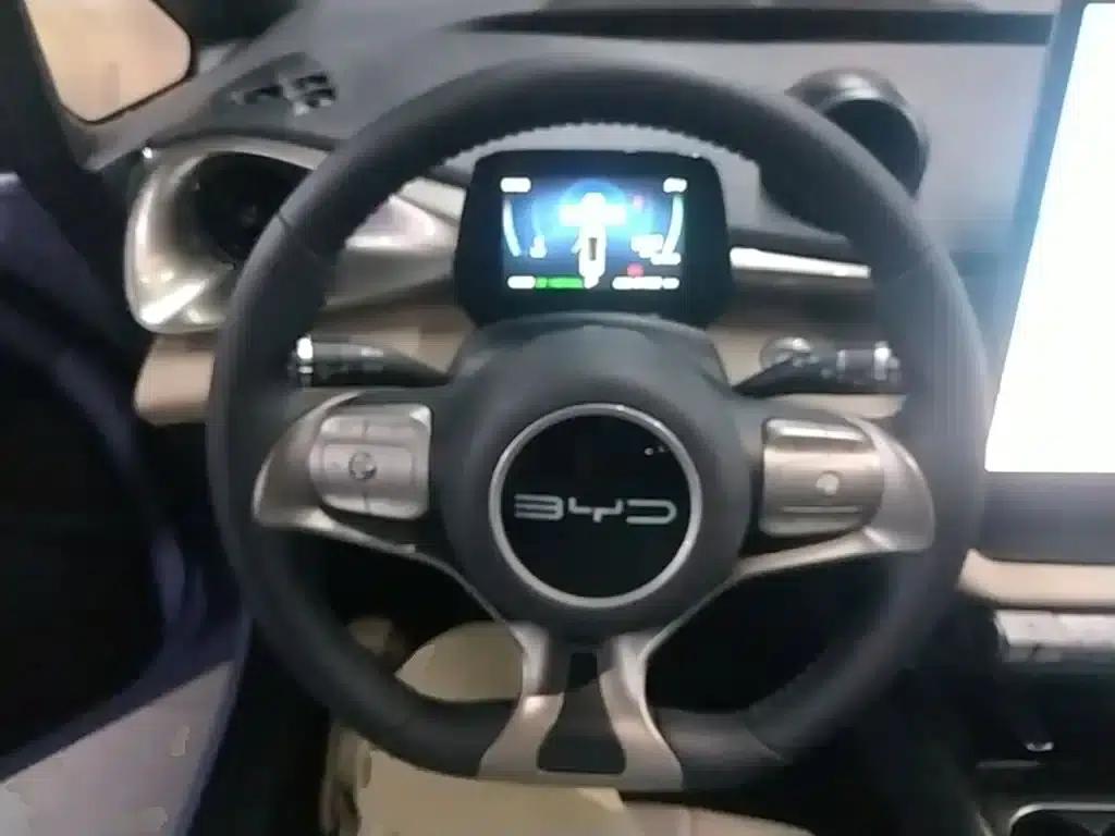 Dolphin 2023 420km Freedom Edition — миниатюра 11