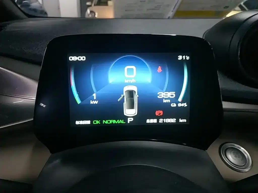 Dolphin 2023 420km Freedom Edition — миниатюра 12