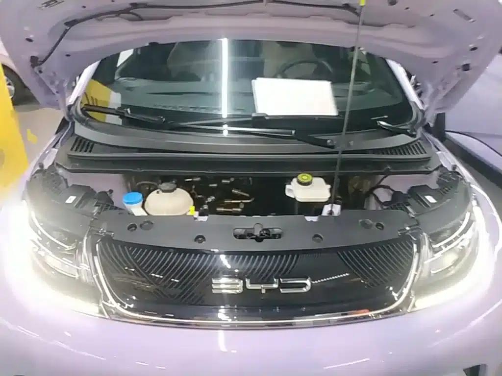Dolphin 2023 420km Freedom Edition — миниатюра 20