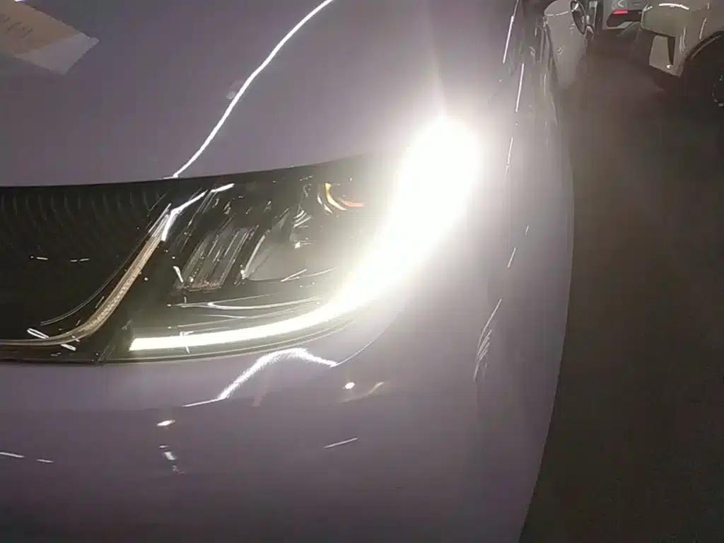 Dolphin 2023 420km Freedom Edition — миниатюра 24