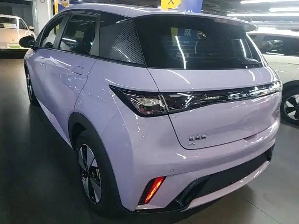 Dolphin 2023 420km Freedom Edition — миниатюра 5