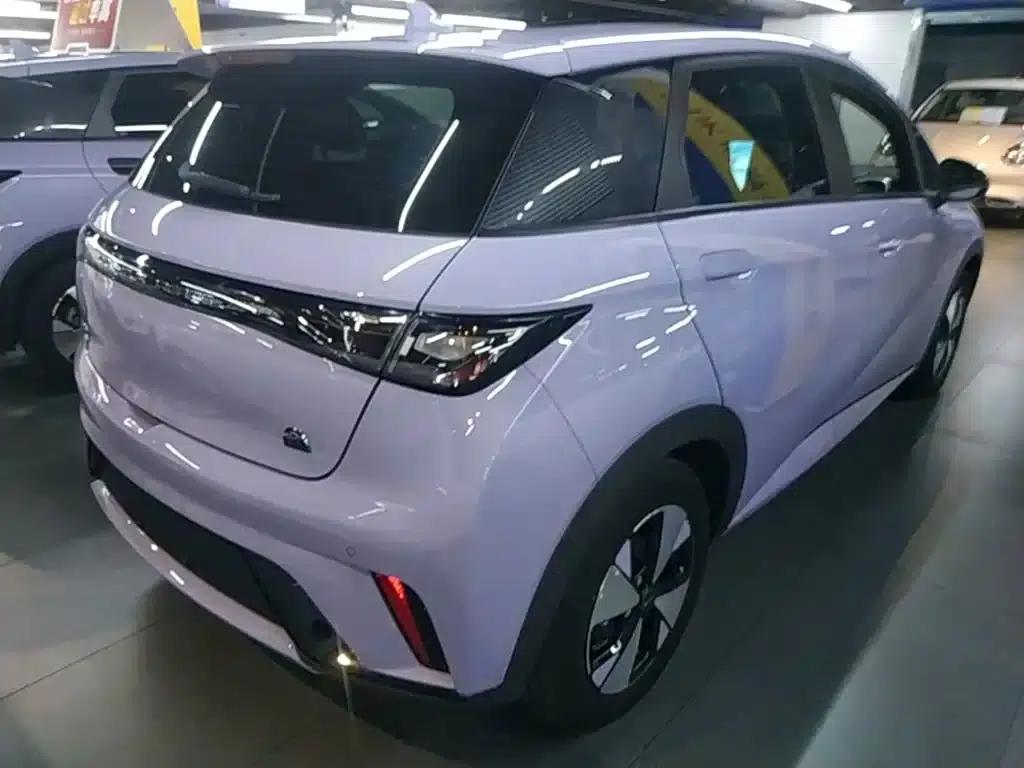 Dolphin 2023 420km Freedom Edition — миниатюра 7