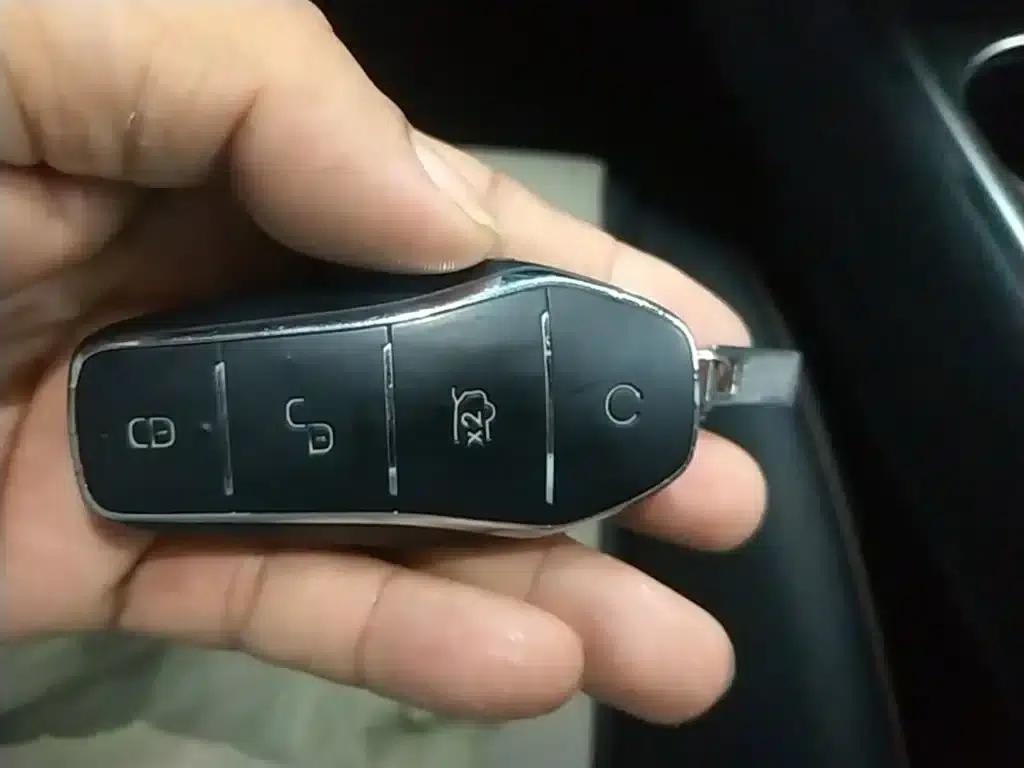 Dolphin 2023 420km Freedom Edition — миниатюра 9