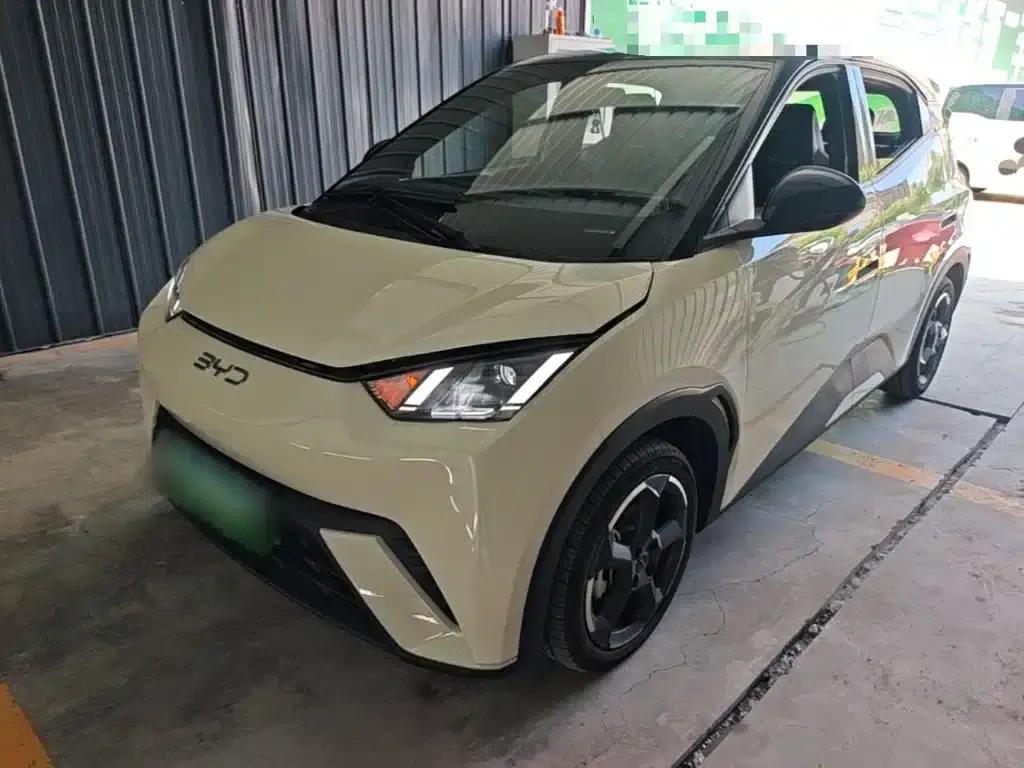 Seagull 2024 Glory Edition 305km Freedom Edition — миниатюра 2