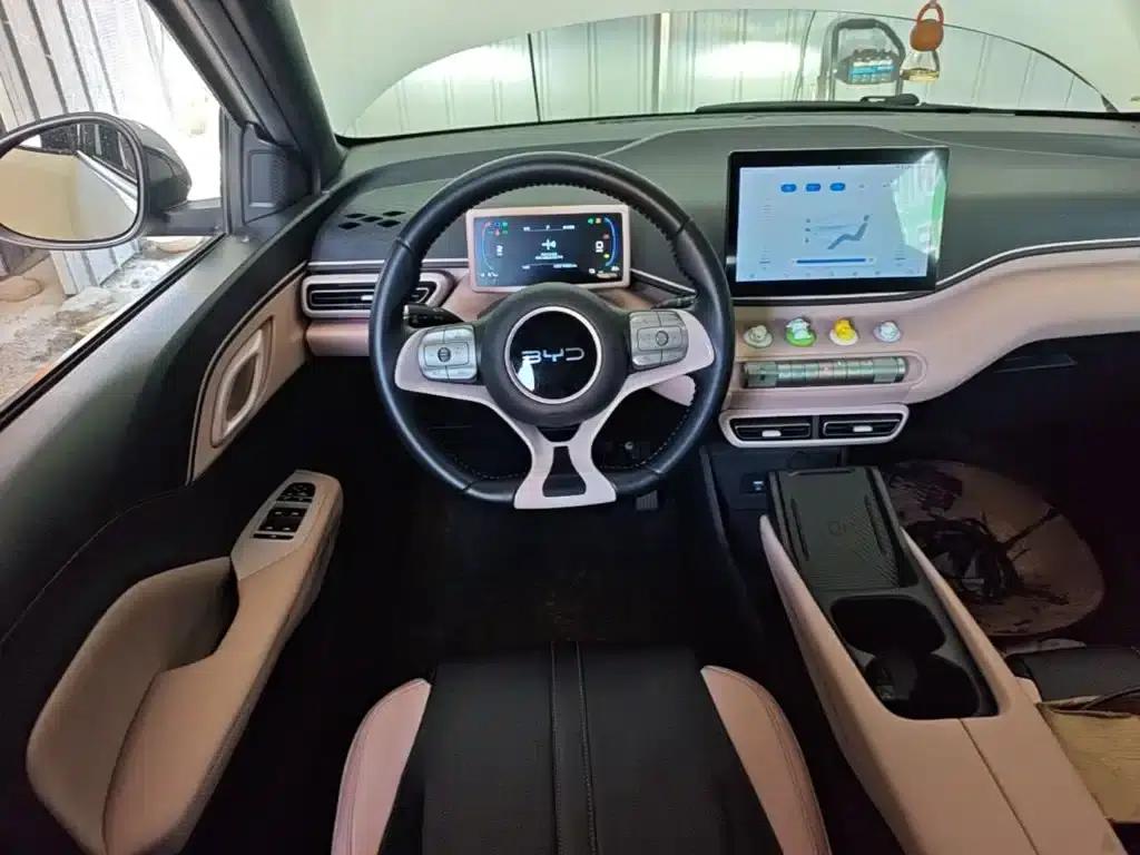 Seagull 2024 Glory Edition 305km Freedom Edition — миниатюра 11