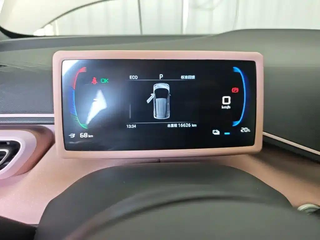 Seagull 2024 Glory Edition 305km Freedom Edition — миниатюра 12
