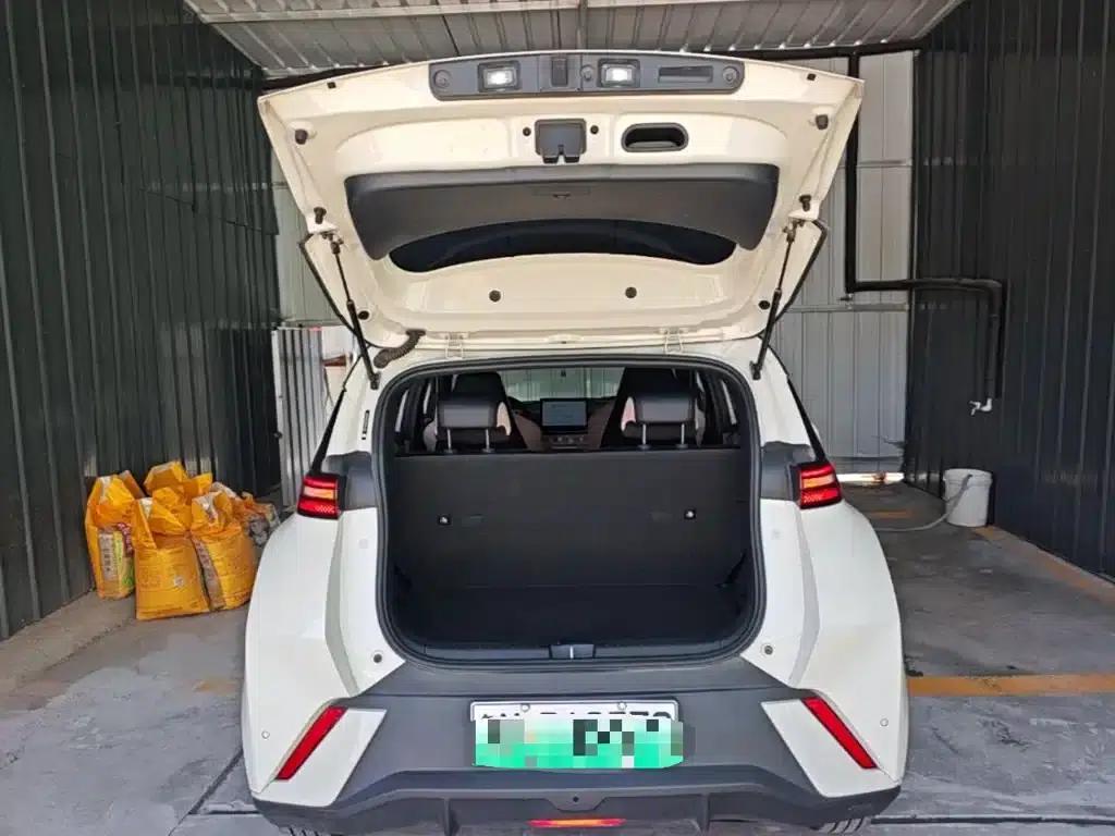 Seagull 2024 Glory Edition 305km Freedom Edition — миниатюра 19