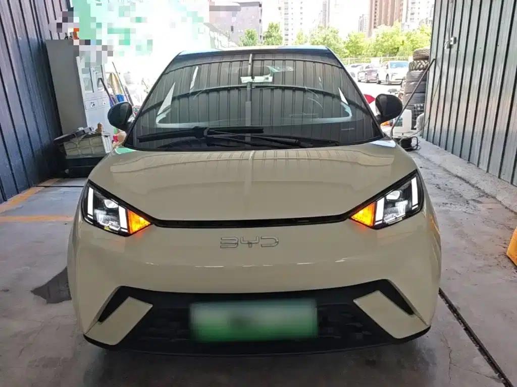 Seagull 2024 Glory Edition 305km Freedom Edition — миниатюра 3