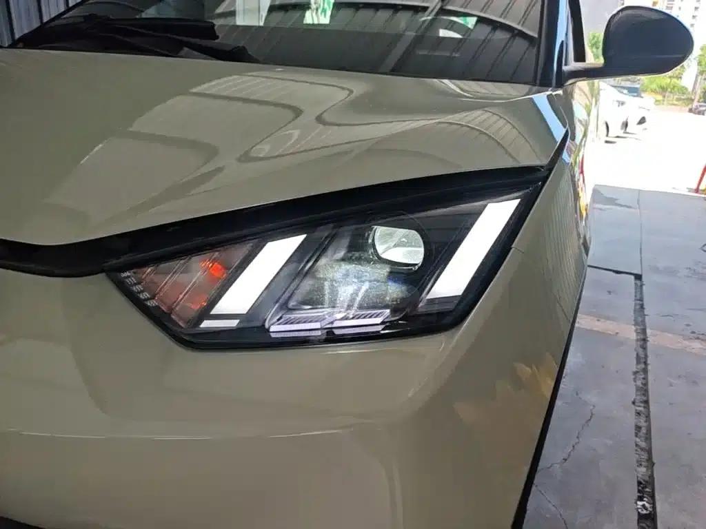 Seagull 2024 Glory Edition 305km Freedom Edition — миниатюра 24