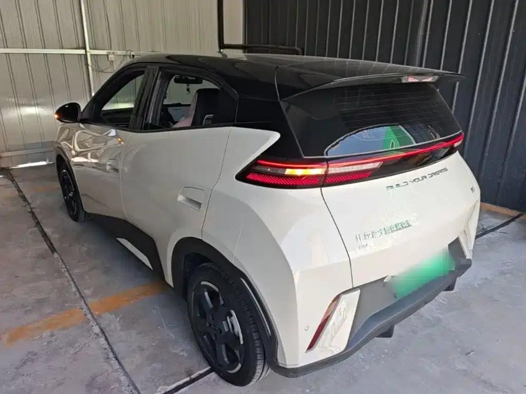 Seagull 2024 Glory Edition 305km Freedom Edition — миниатюра 5