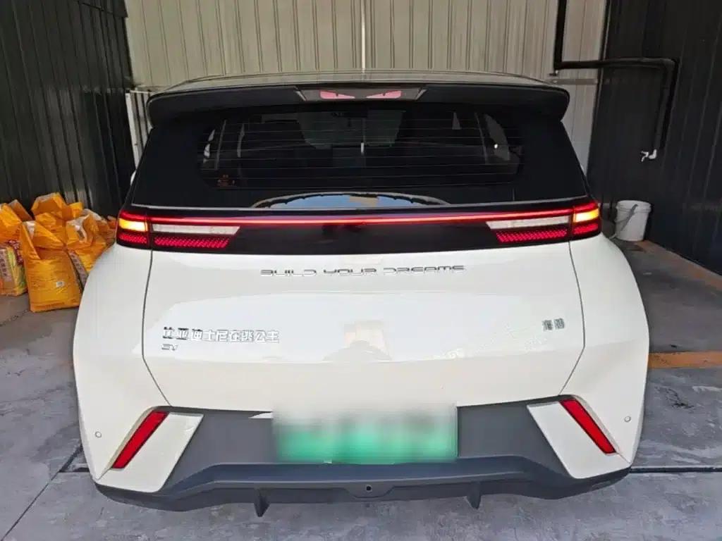 Seagull 2024 Glory Edition 305km Freedom Edition — миниатюра 6