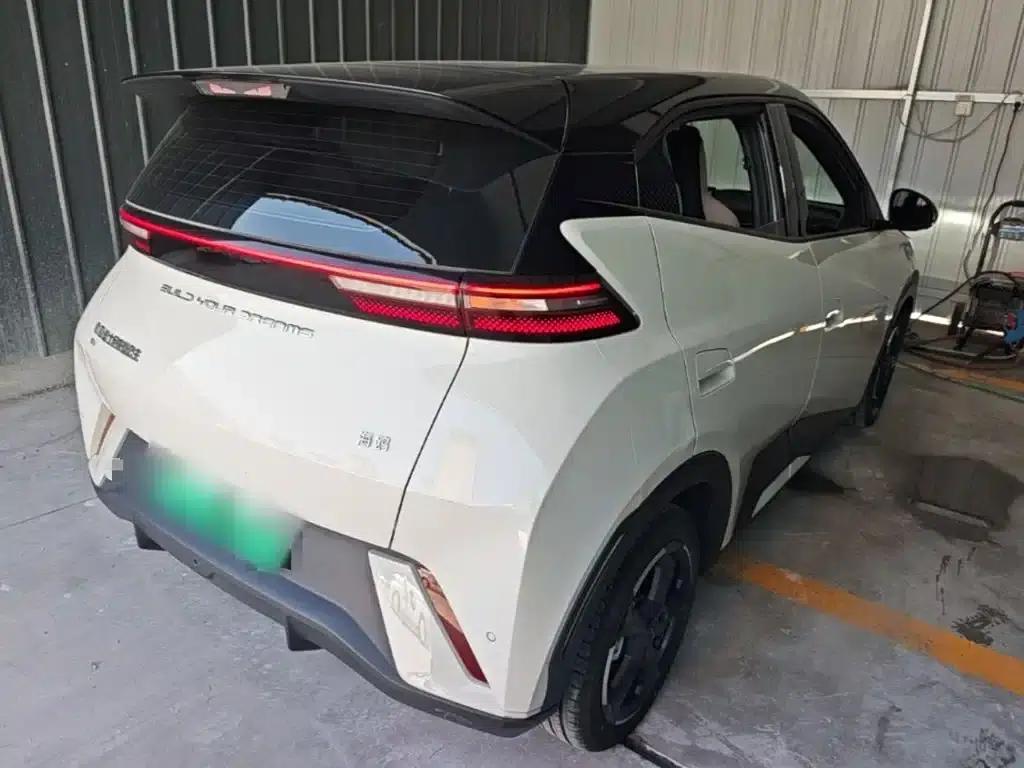Seagull 2024 Glory Edition 305km Freedom Edition — миниатюра 7