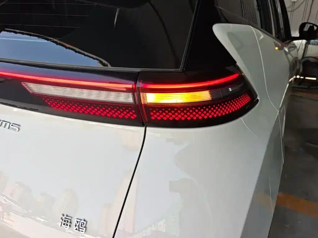 Seagull 2024 Glory Edition 305km Freedom Edition — миниатюра 8