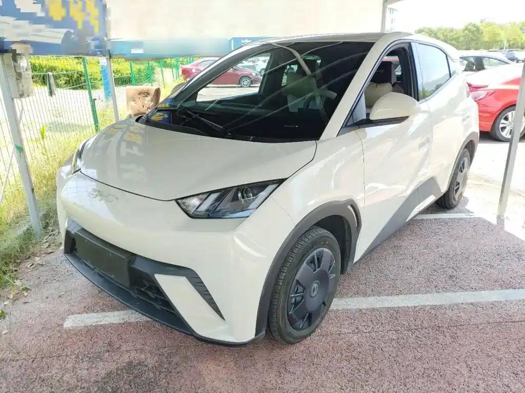 Seagull 2024 Glory Edition 305km/h Vitality Edition — миниатюра 1