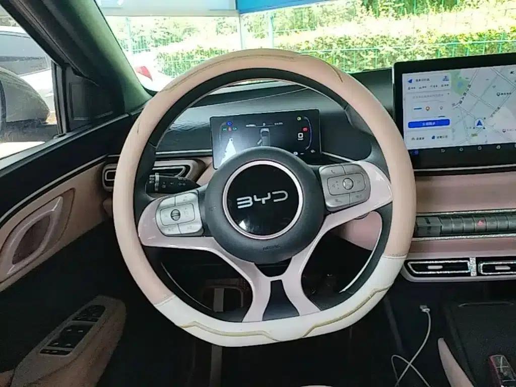 Seagull 2024 Glory Edition 305km/h Vitality Edition — миниатюра 11