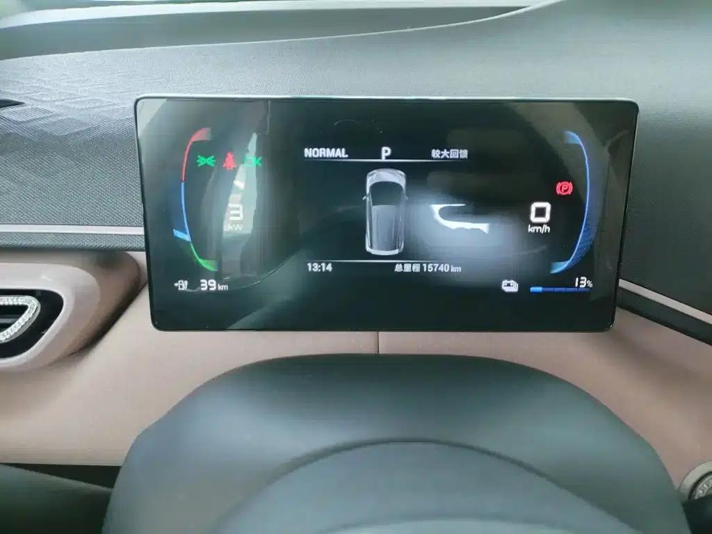 Seagull 2024 Glory Edition 305km/h Vitality Edition — миниатюра 12