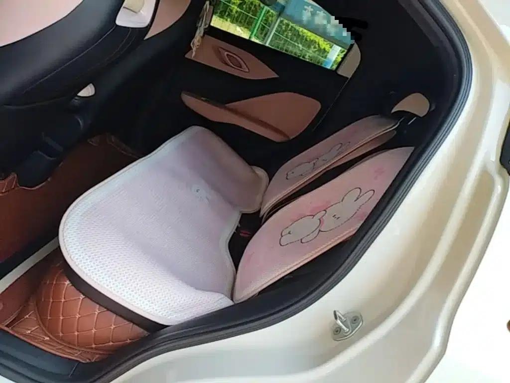 Seagull 2024 Glory Edition 305km/h Vitality Edition — миниатюра 17