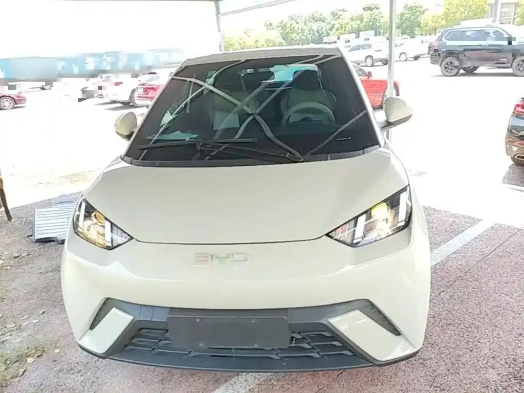 Seagull 2024 Glory Edition 305km/h Vitality Edition — миниатюра 3