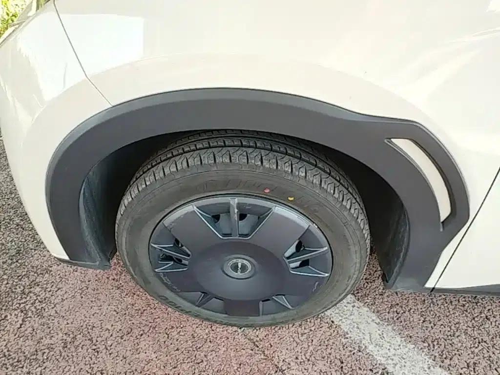 Seagull 2024 Glory Edition 305km/h Vitality Edition — миниатюра 23