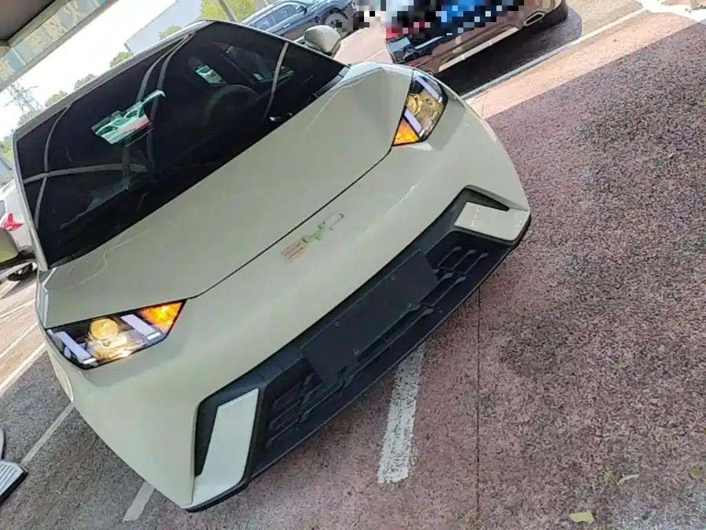 Seagull 2024 Glory Edition 305km/h Vitality Edition — миниатюра 4