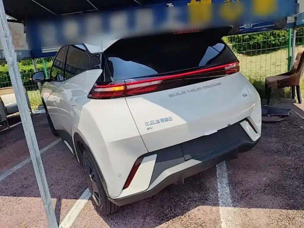 Seagull 2024 Glory Edition 305km/h Vitality Edition — миниатюра 5