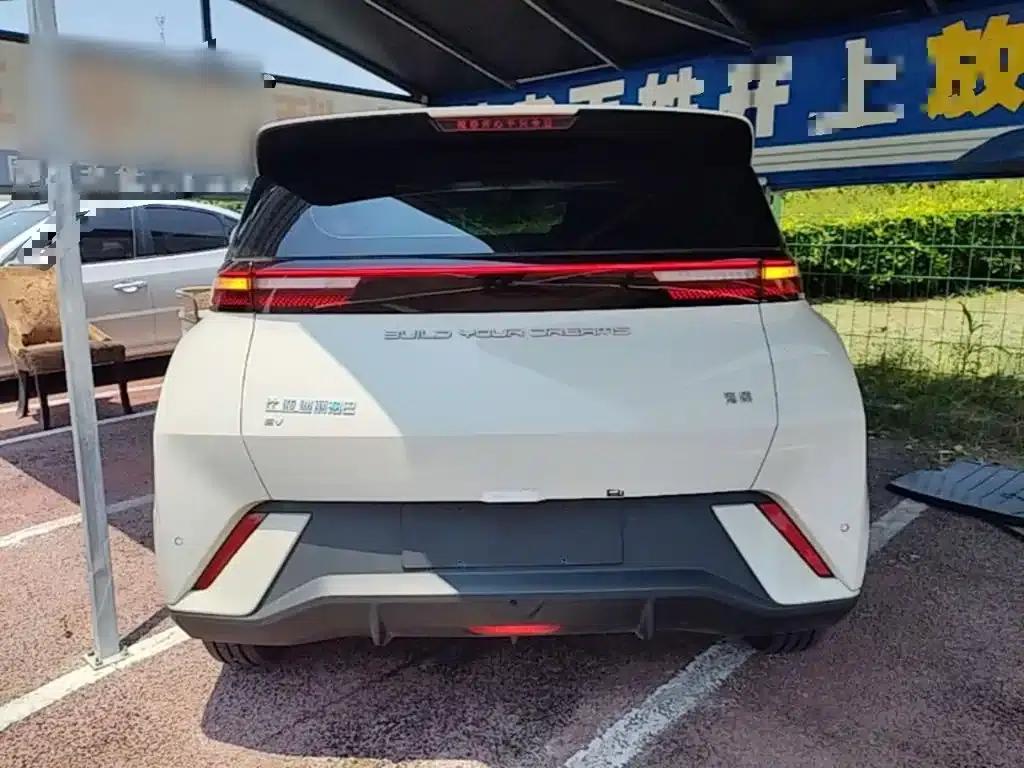 Seagull 2024 Glory Edition 305km/h Vitality Edition — миниатюра 6