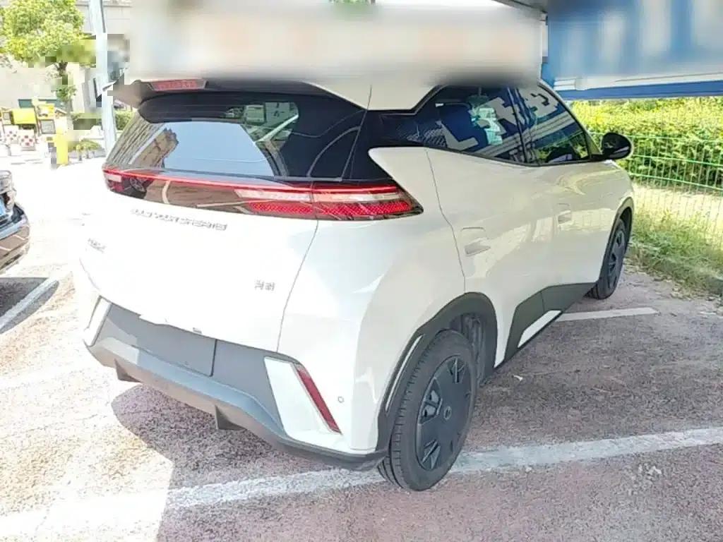 Seagull 2024 Glory Edition 305km/h Vitality Edition — миниатюра 7