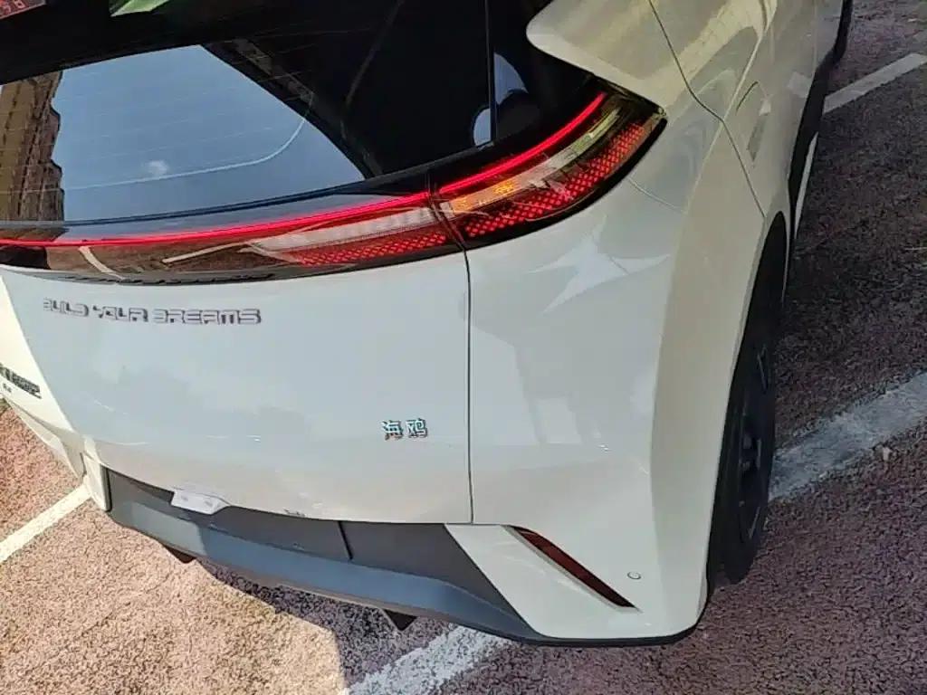 Seagull 2024 Glory Edition 305km/h Vitality Edition — миниатюра 8