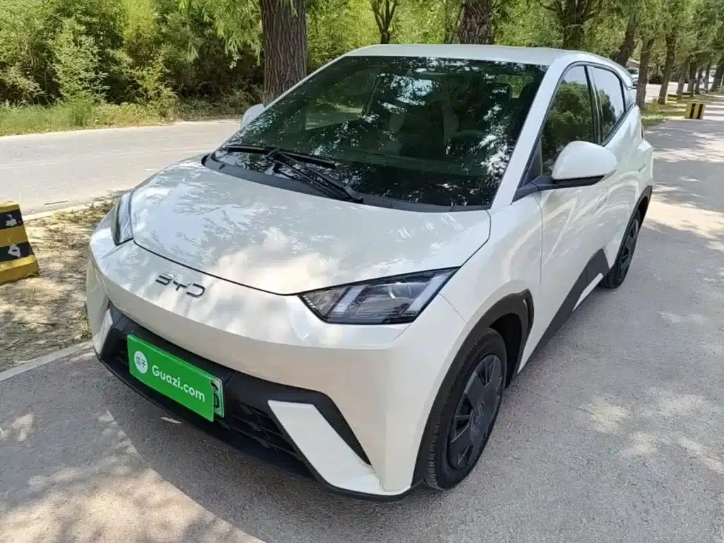 Seagull 2024 Glory Edition 305km/h Vitality Edition — миниатюра 2